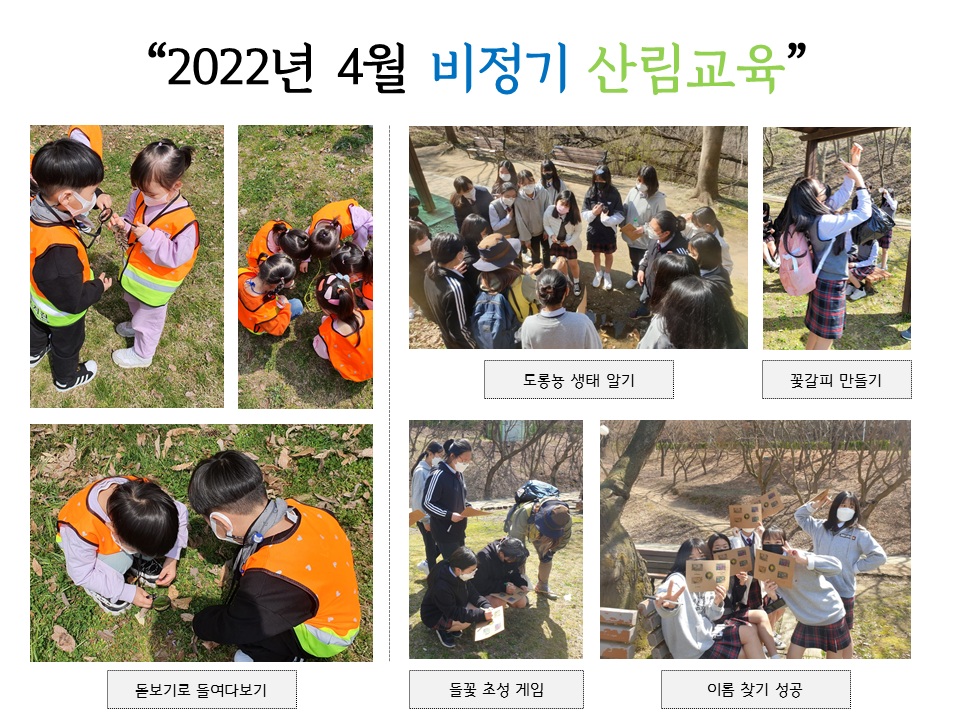 74a4cc_2022년 4월 비정기 산림교육 프로그램.png