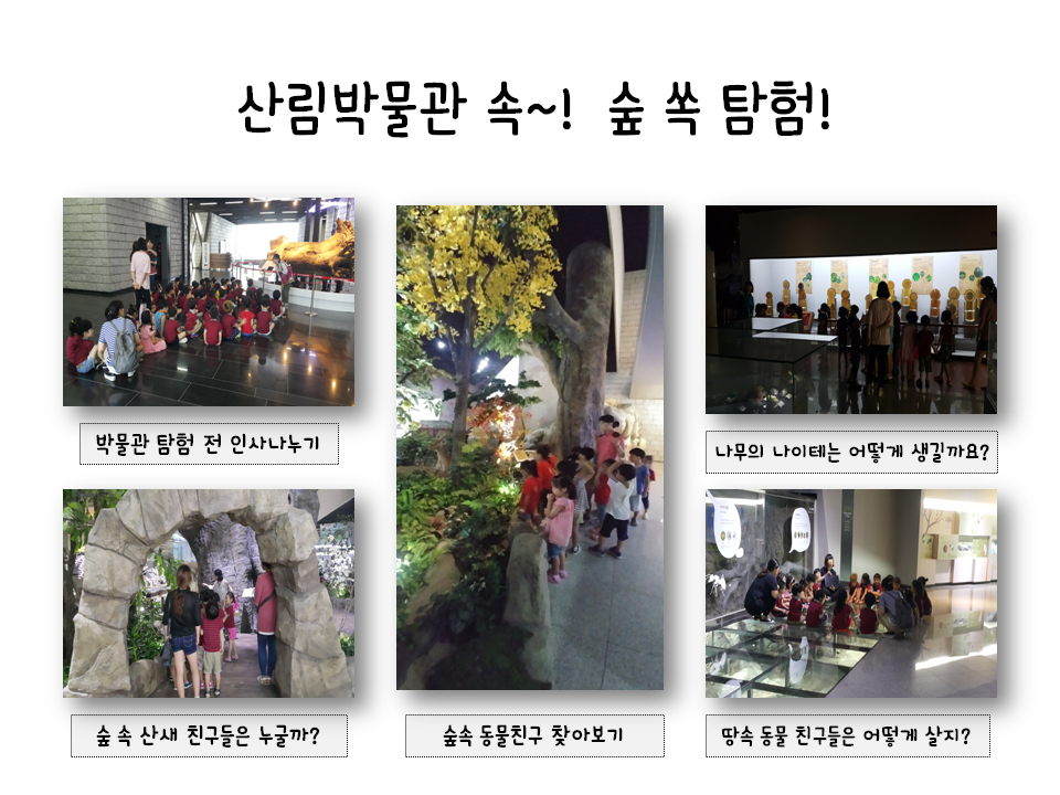 96de46_홈페이지 갤러리 양식.png