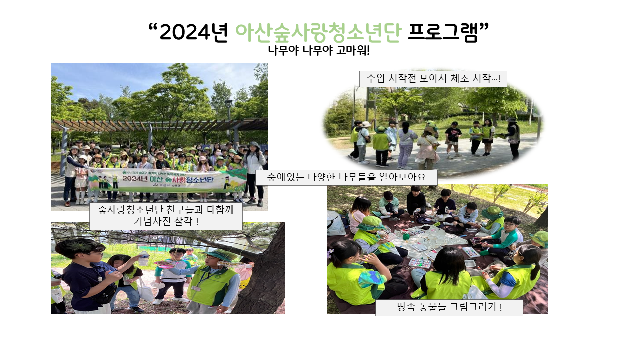 산림교육 갤러리(숲사랑).png