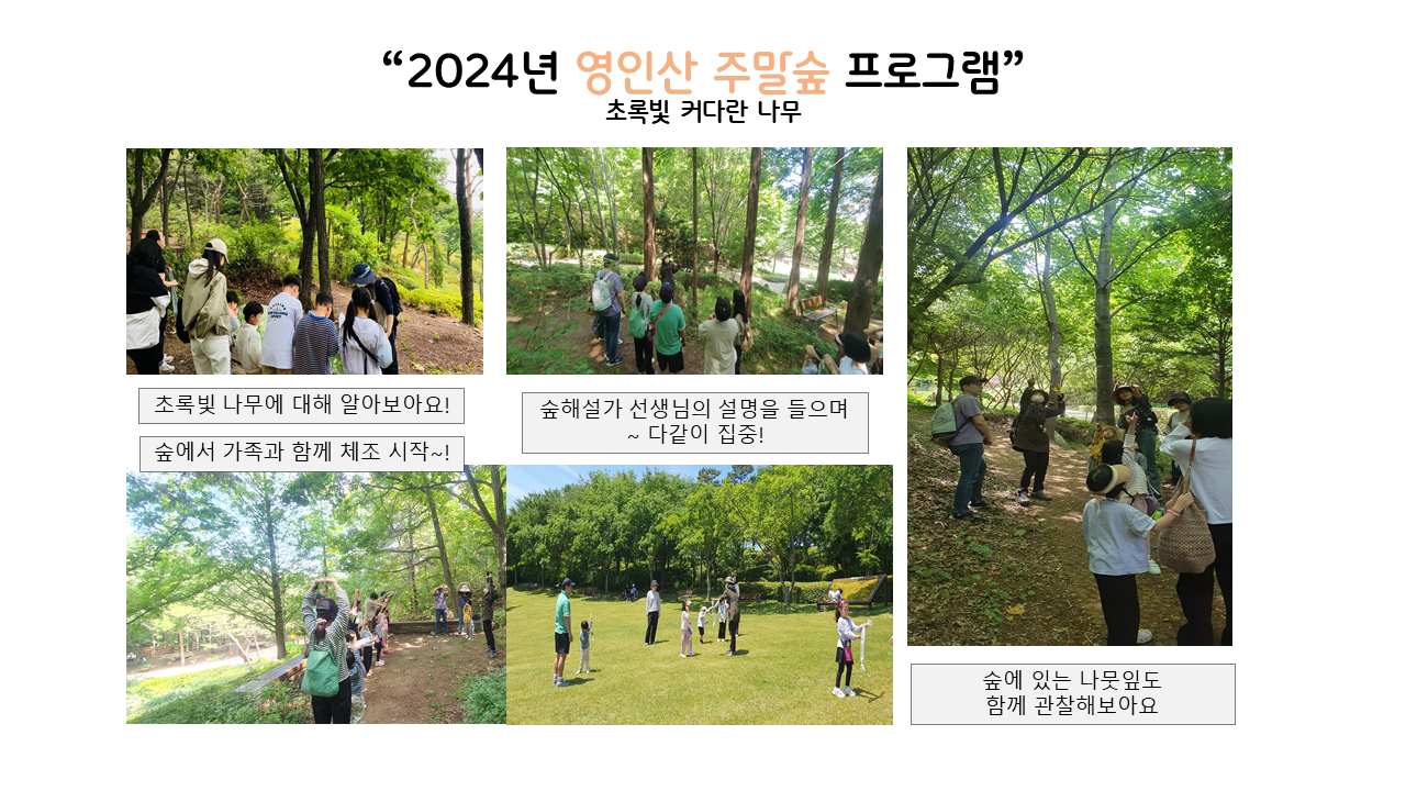 산림교육 갤러리(영인산 주말숲).png