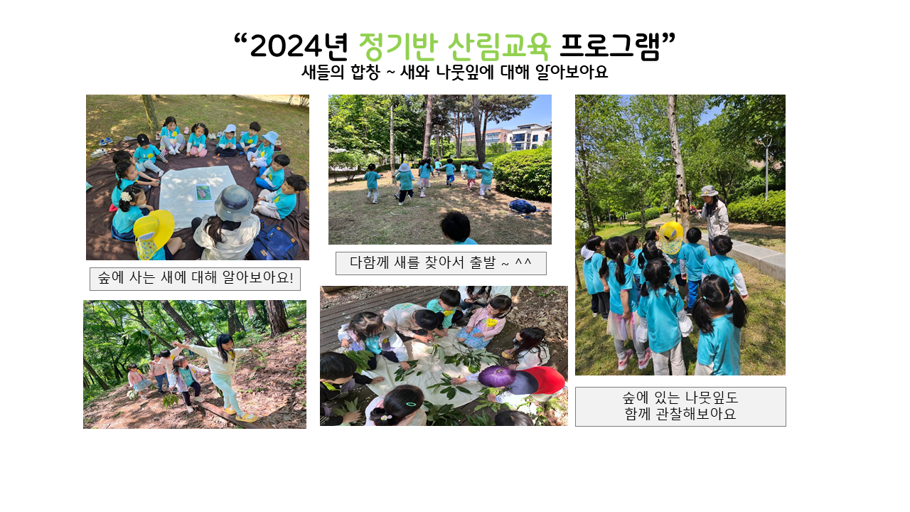 산림교육 갤러리.png