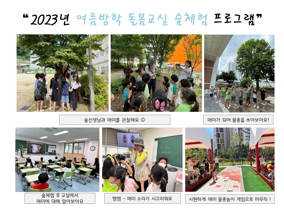 2097e4_홈페이지 갤러리 양식(여름방학 돌봄교실).png