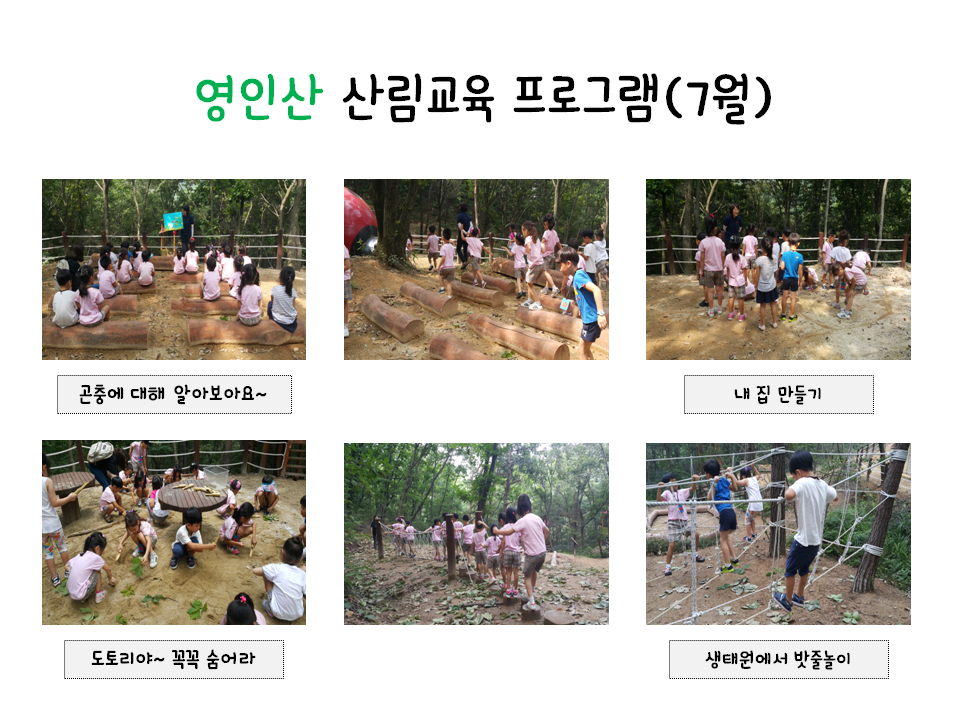 70311e_7월 산림교육.png
