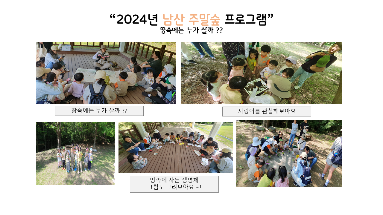 산림교육 갤러리(주말숲).png