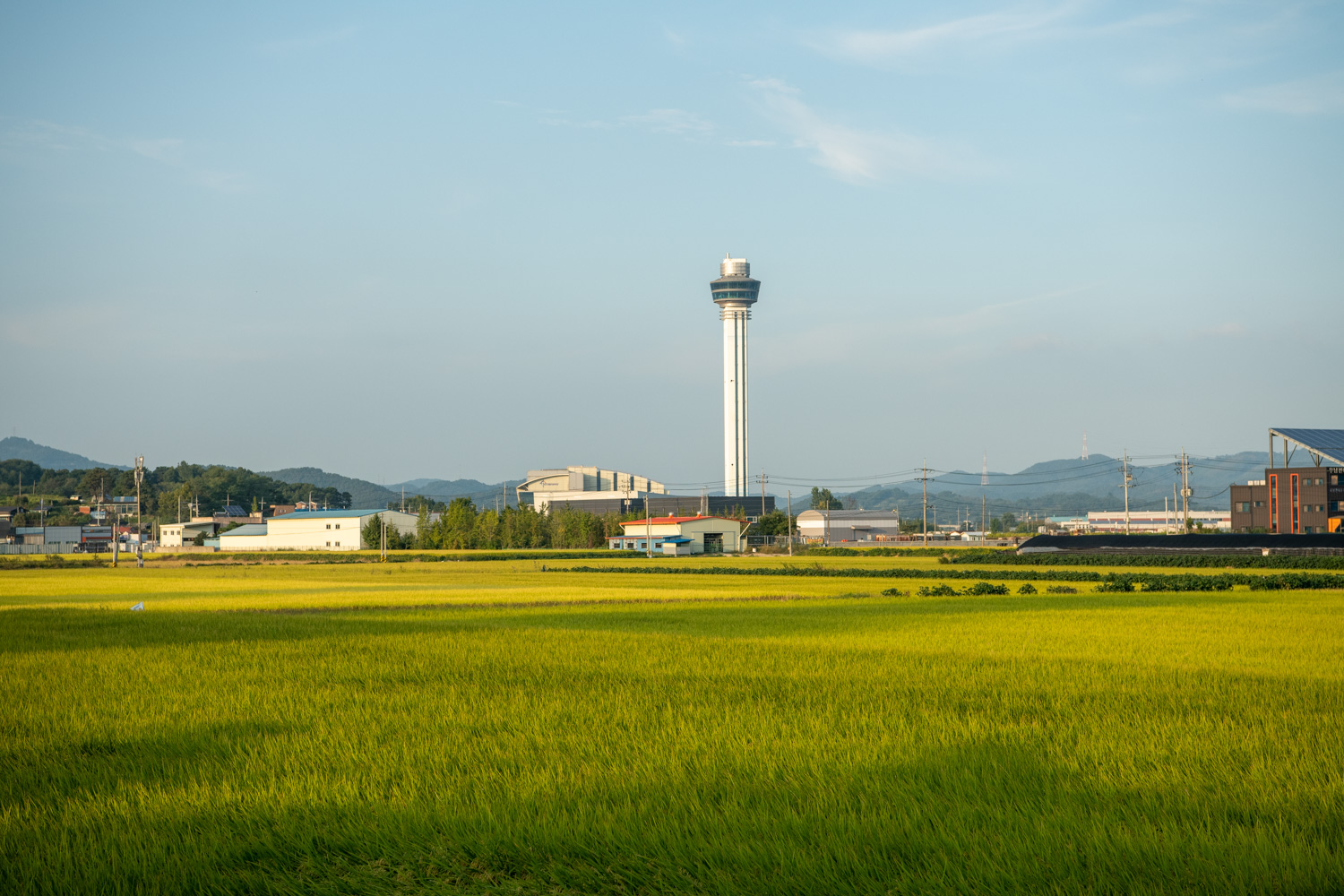 장항선 구 철도길