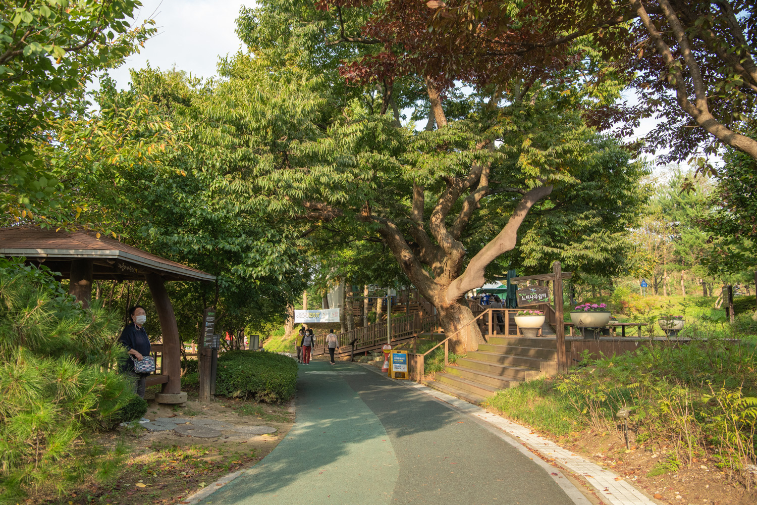 신정호수변길