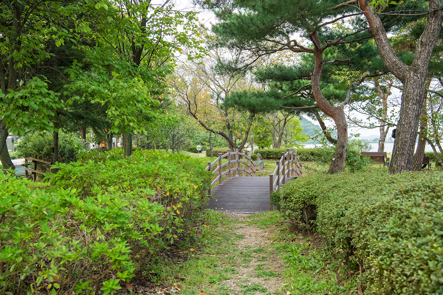 신정호수변길