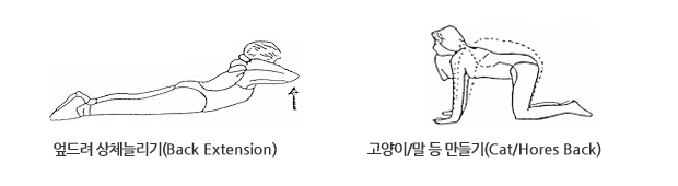 바른자세를 위한 운동법
