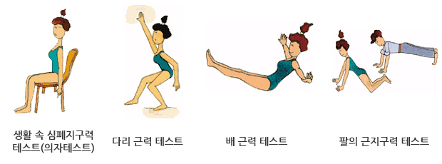 자가체력진단