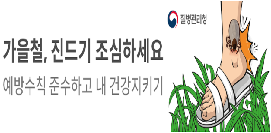 진드기
