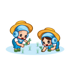 농업기술과 <em>/ 벼농사</em>