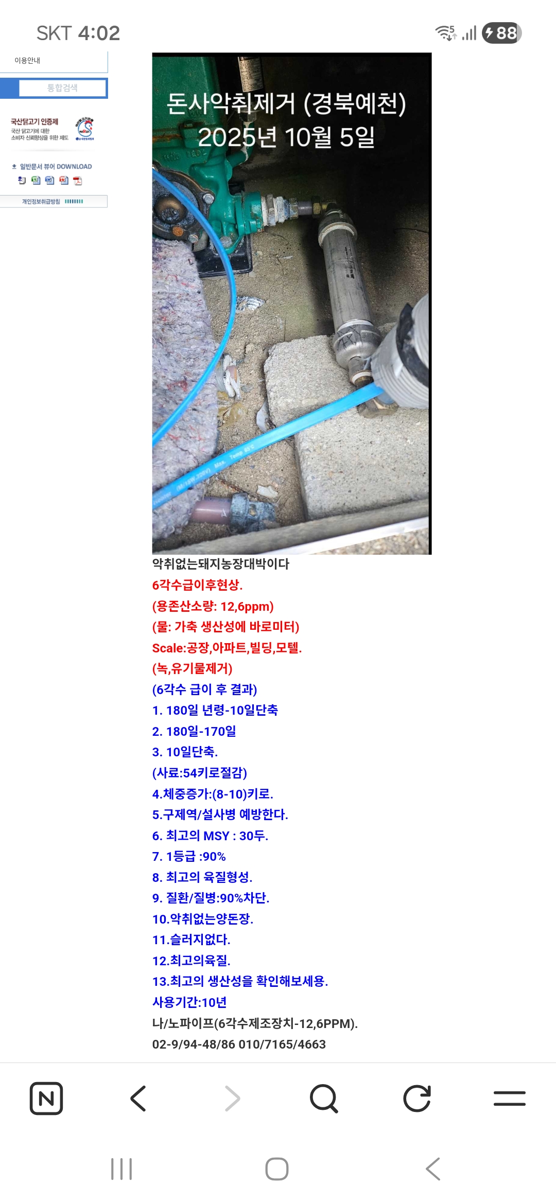 악취없는돼지농장대박이다 썸네일