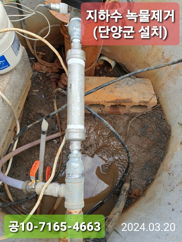 닭에게6각수급이후현상 썸네일