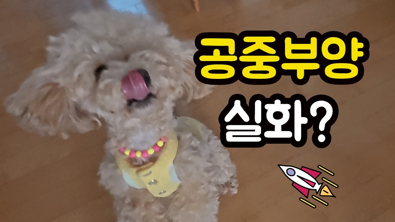 59_부양.jpg