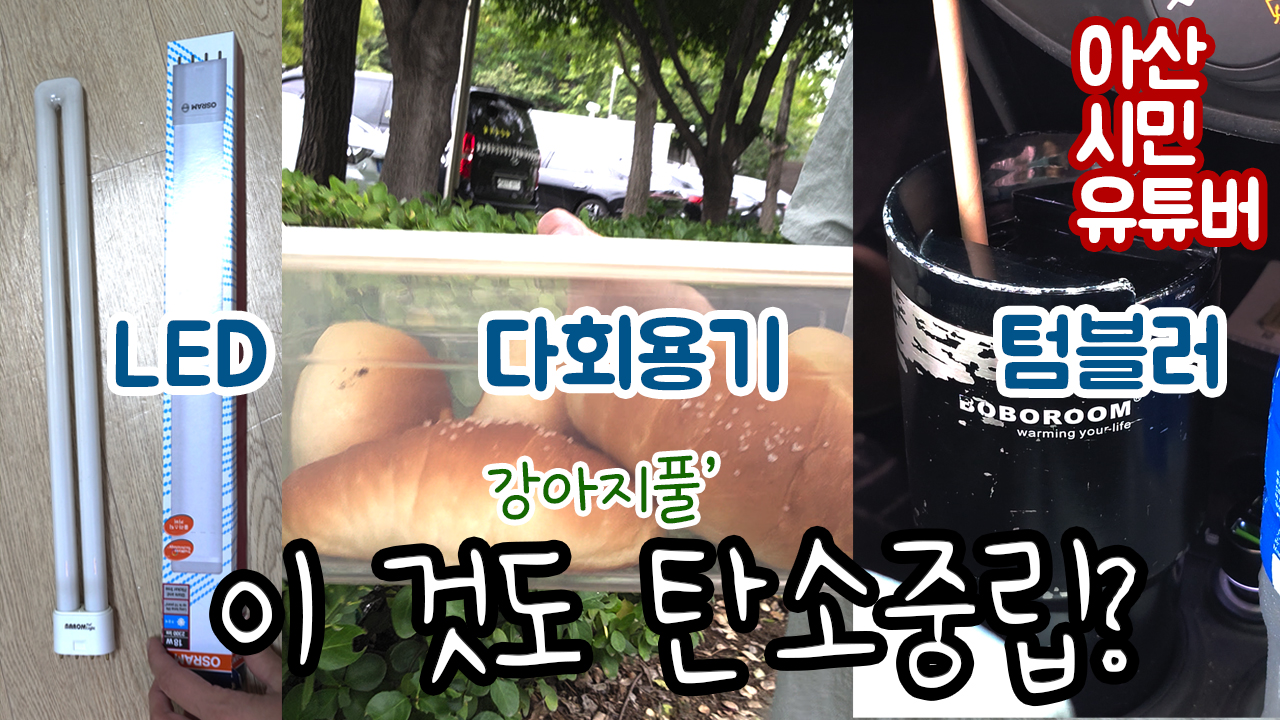 0930 강아지풀 탄소중립.jpg