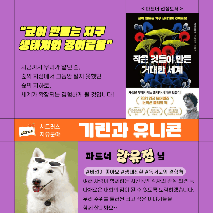 기린과 유니콘
