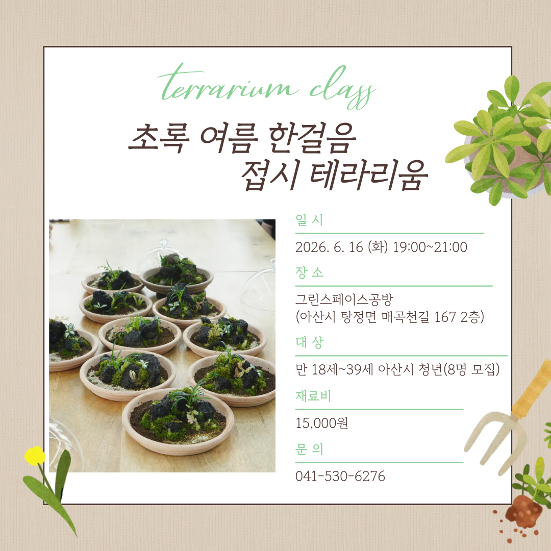 접시테라이룸.png