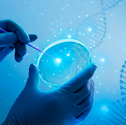 완제 및 원료의약품 연구