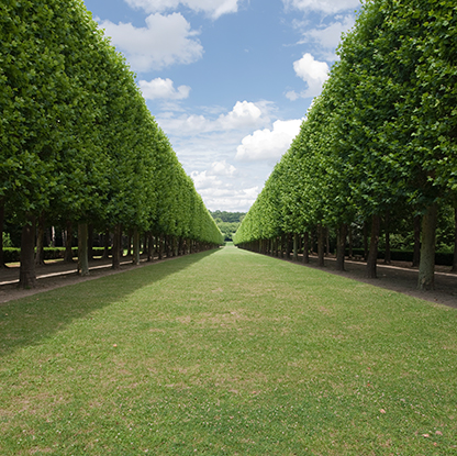 조경업, 도장, 방수공사 등