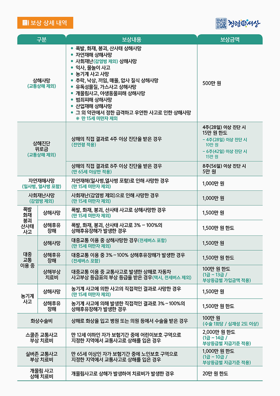 시민안전보험 전단지(뒤)