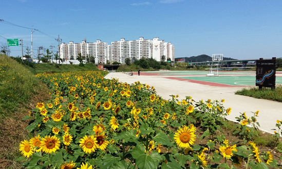 곡교천갈매체육공원